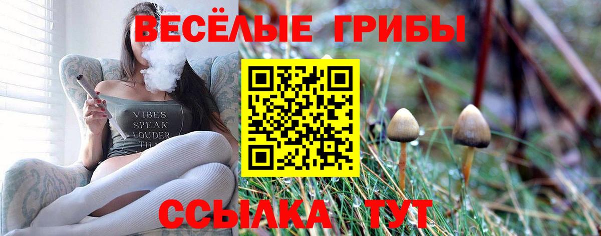 Галлюциногенные грибы GOLDEN TEACHER Гай