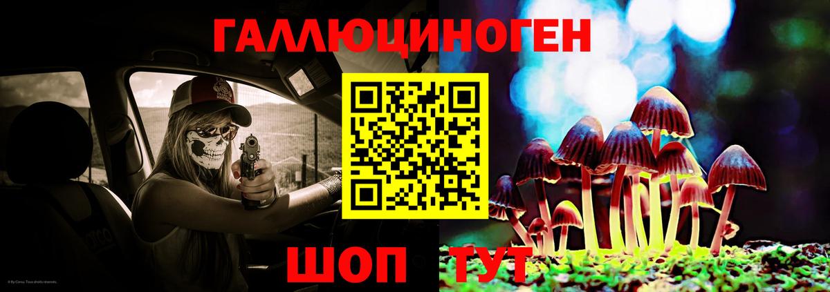 Гай  Галлюциногенные грибы Psilocybine cubensis  Вход с VPN 